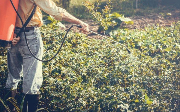 Ψηφιοποιείται και απλοποιείται η επιστροφή ΦΠΑ για τους αγρότες ειδικού καθεστώτος