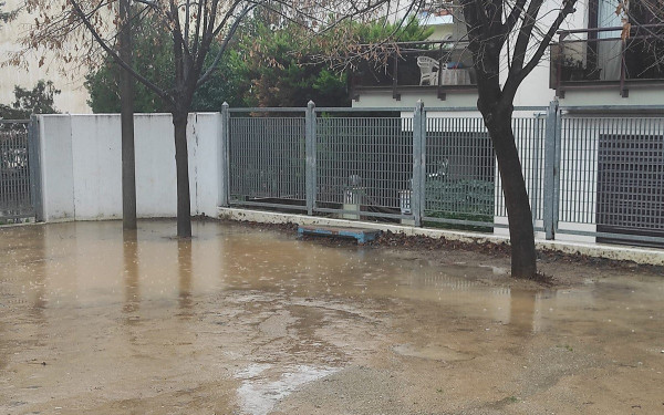 Καλαμαριά: Γονείς έβαλαν παπάκια στη «λίμνη» του 18ου δημοτικού σχολείου (βίντεο)