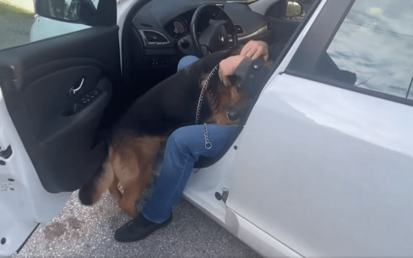 Έτρεξε, πήδηξε επάνω του και δεν τον άφηνε στιγμή - Η ανατριχιαστική επανένωση ενός σκύλου με τον ιδιοκτήτη του (βίντεο)