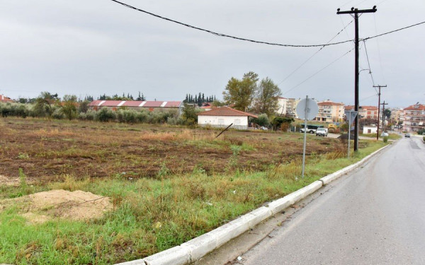 Χαλκιδική: Το ΤΑΙΠΕΔ έβγαλε «στο σφυρί» ακίνητο 27 στρεμμάτων στη «Χρυσή  Αμμουδιά» της Νέας Καλλικράτειας