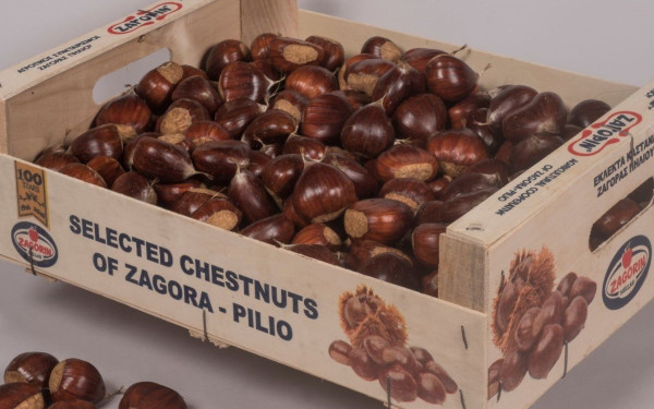 ZAΓΟΡΙΝ: Ενέργειες για κατοχύρωση Π.Ο.Π. στα κάστανα του Πηλίου