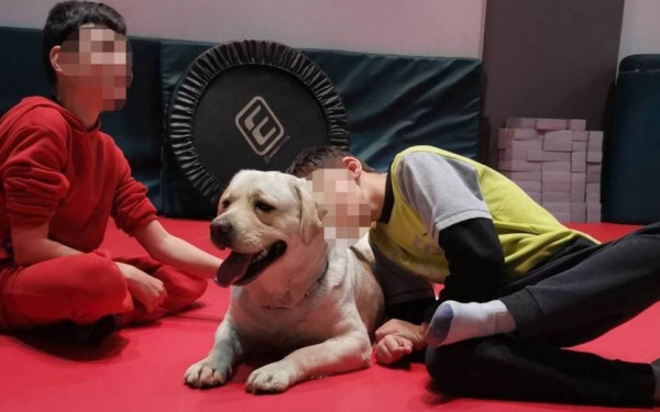 Οι σκύλοι βοηθοί  γεννούν κίνητρα στα παιδιά με αναπηρία