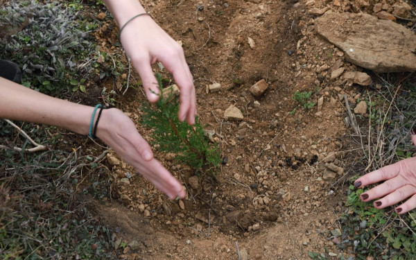 Θέρμη: Εθελοντική αναδάσωση στο Μονοπήγαδο