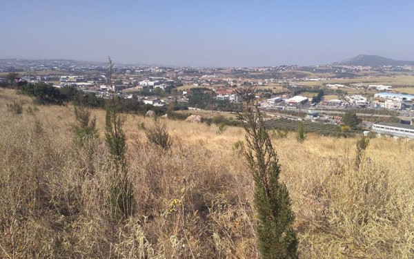 Ένα περιαστικό δάσος αναψυχής με 300.000 δέντρα «γεννιέται» στη δυτική Θεσσαλονίκη