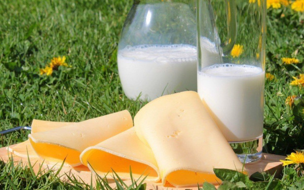 Ακρίβεια: Χωρίς τέλος οι ανατιμήσεις στην τιμή του γάλακτος - Πόσο έχουν αυξηθεί σε δύο χρόνια γάλα και τυριά (βίντεο)