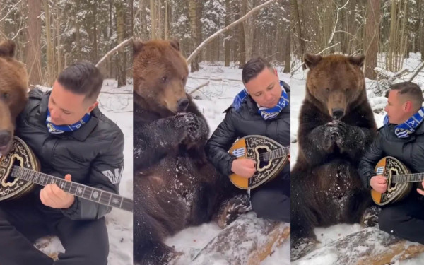 Απίστευτο βίντεο: Λαρισαίος γίνεται viral παίζοντας μπουζούκι στα χιόνια με μια αρκούδα να τον… λιγουρεύεται