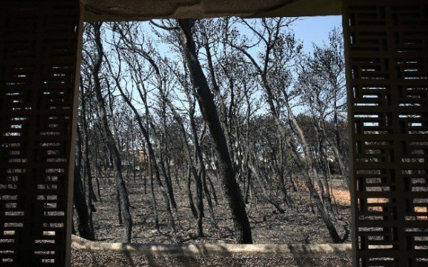 Δίκη για το Μάτι: «Υπήρχαν αναγγελίες για 37 νεκρούς όταν πήγε στο ΕΣΚΕ ο τότε πρωθυπουργός»