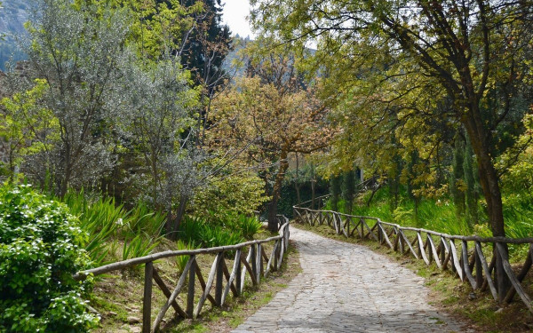 Θεσσαλονίκη: Μια «γιγάντια» έκταση μετατρέπεται σε δάσος αναψυχής - Το Μάρτιο τα πρώτα έργα