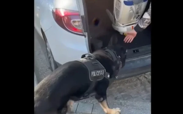 Θεσσαλονίκη: Ο «Ακύλας» βρήκε ναρκωτικά σε παιδικό κάθισμα (βίντεο)