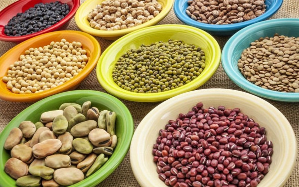 Καστοριά: Προς νέα εποχή ο κλάδος των οσπρίων με «όχημα» την Εθνική Διεπαγγελματική Οργάνωση Οσπρίων Ελλάδας