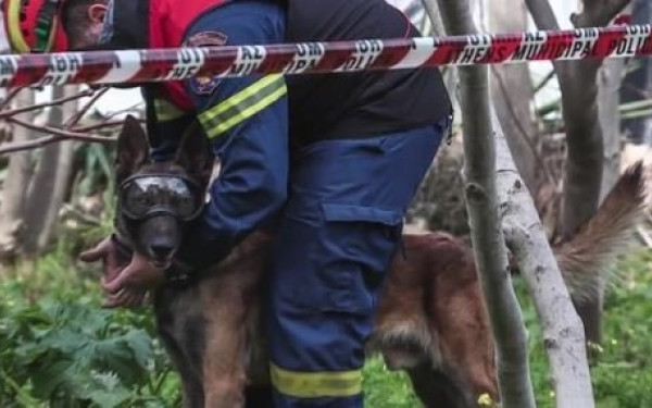 ΕΜΑΚ: Οι σκύλοι διασώστες που βρίσκουν ζωή κάτω από τα χαλάσματα (βίντεο)