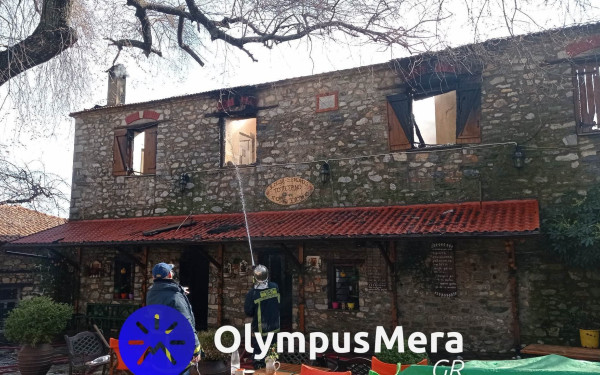 Πιερία: Δείτε εικόνες και βίντεο από την καταστροφική πυρκαγιά στον Παλιό Παντελεήμονα