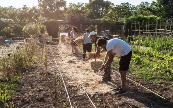Εξαπλώνονται τα πάρκα τσέπης σε όλη την Ελλάδα φέρνοντας διεθνείς διακρίσεις	