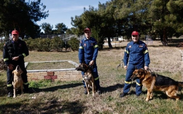 Φιντέλ, Τάλως και Έκτωρ: Tα σκυλιά της 2ης ΕΜΑΚ που σώζουν ζωές (φωτ.)