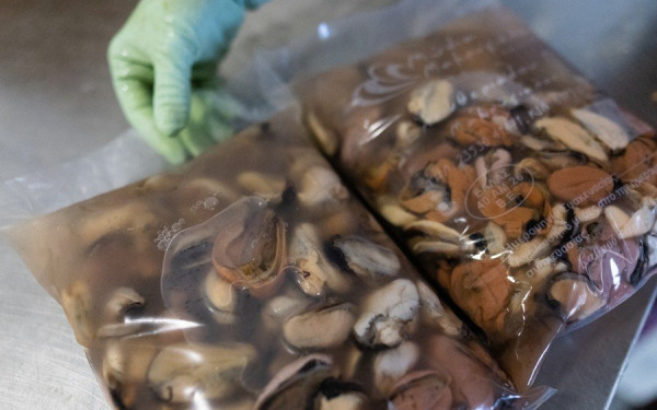 Φρέσκα μύδια Μακρύγιαλου Πιερίας για το Σαρακοστιανό τραπέζι