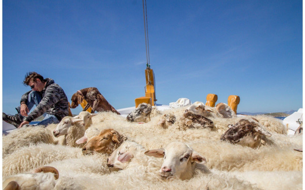 Θεσσαλονίκη – 25ο ΦΝΘ: Μια άγνωστη πλευρά της Μυκόνου