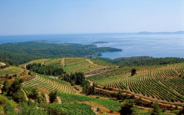 Η αναβίωση του Κτήματος Πόρτο Καρράς και το μακρόπνοο επενδυτικό πλάνο του Ιβάν Σαββίδη