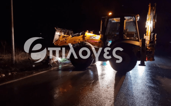 Σέρρες: Αυτοκίνητο έπεσε πάνω σε άλογο και το σκότωσε