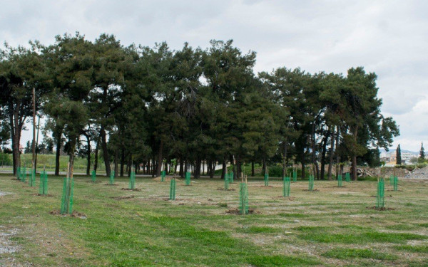 Δήμος Αμπελοκήπων-Μενεμένης: Εθελοντική δεντροφύτευση στο στρατόπεδο Μεγ. Αλεξάνδρου