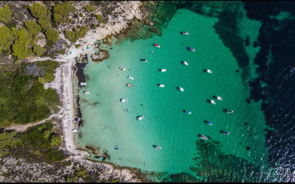 Χαλκιδική: Έκταση 100 στρεμμάτων αγόρασε ο Σταύρος Ανδρεάδης στη Διάπορο