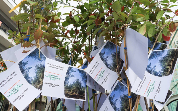 Με ένα δέντρο σε κάθε σχολείο τίμησε ο δήμος Νεάπολης Συκέων την Παγκόσμια Ημέρα Δασών (φωτ.)