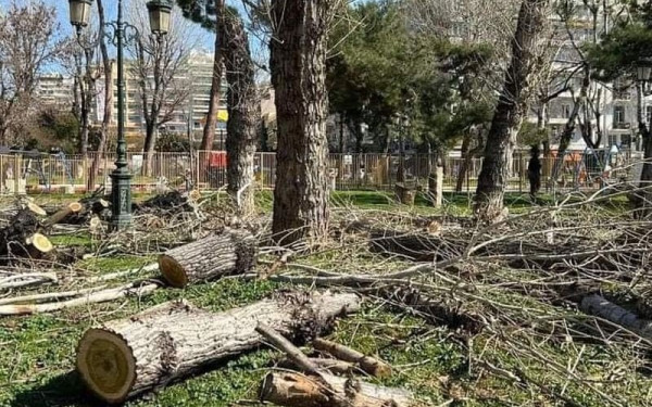 «SOSε τα δέντρα»: Νέα εκδήλωση διαμαρτυρίας για την κοπή δέντρων - «ΦΤΑΝΕΙ ΠΙΑ!» 