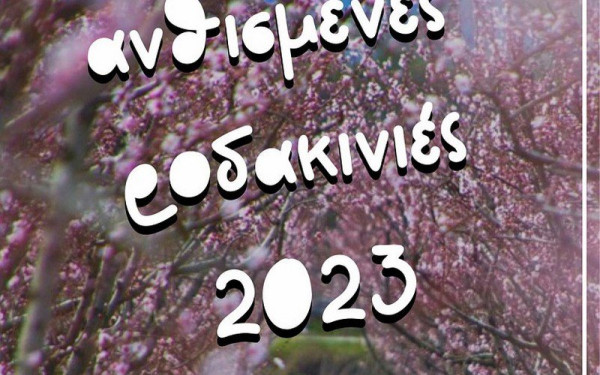 Ο τουρισμός της Ανθισμένης Ροδακινιάς: Οκτώ δισεκατομμύρια λουλούδια στην Ημαθία