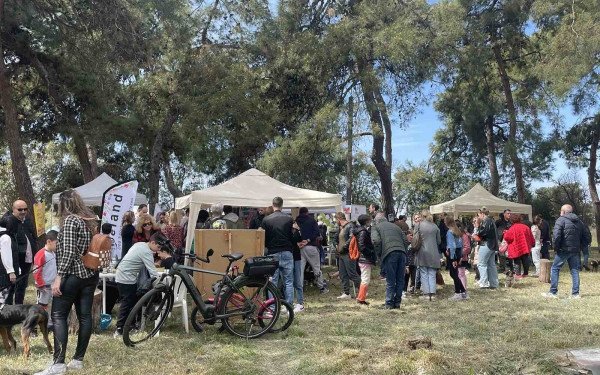 Καλαμαριά: Συγκινητικό το ενδιαφέρον του κόσμου για τη γιορτή υιοθεσίας αδέσποτων ζώων