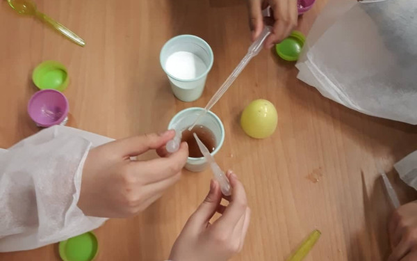 Αυγά… αλά επιστημονικά στο Νόησις