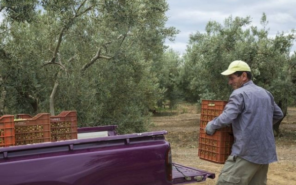 Eισαγωγή 168.000 εργαζομένων από τρίτες χώρες για τις κενές θέσεις εργασίας - Ποιες ειδικότητες θα καλύψουν 