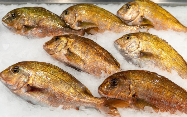 Η ισπανική αγορά παραμένει σημαντική για τις εξαγωγές ιχθυηρών της χώρας μας