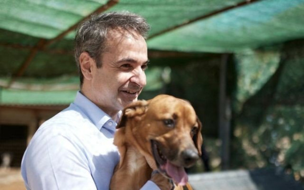 Μητσοτάκης για την Παγκόσμια Ημέρα Αδέσποτων Ζώων: Κανένα ζώο αδέσποτο, κανένα κακοποιημένο (βίντεο)