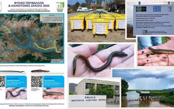 Δράμα: Προστατεύοντας την ιχθυοπανίδα από τις άδειες συσκευασίες γεωργικών φαρμάκων