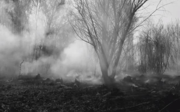 Χαλκιδική - «Η Ανθή της Κασσάνδρας»: Μια ταινία μικρού μήκους από το δημοτικό σχολείο Πορταριάς - Δείτε την