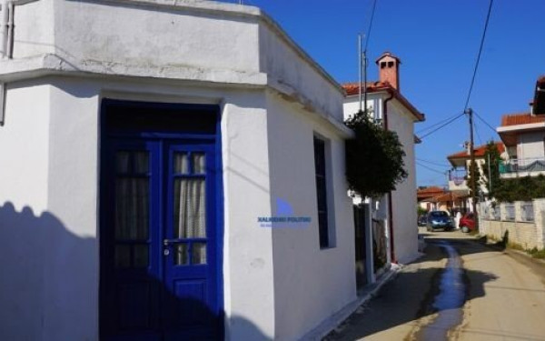 Παλιούρι: Το χωριό της Χαλκιδικής με το προστατευόμενο δάσος και τη γαλαζοπράσινη παραλία