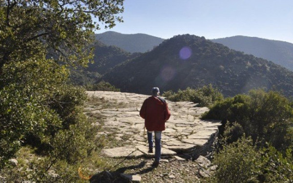 Το Φαράγγι της Νέδας χαρακτηρίζεται ως Προστατευόμενο Τοπίο