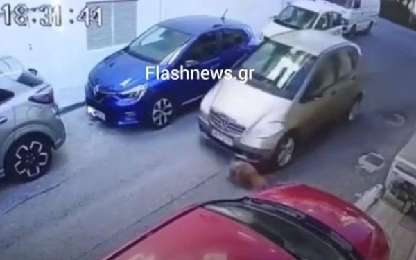 Φρίκη στο Ηράκλειο: Οδηγός πατάει εν ψυχρώ σκύλο με το αυτοκίνητο (σοκαριστικό βίντεο)
