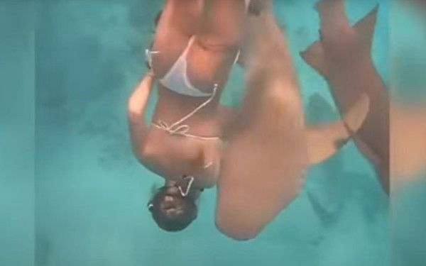 Καρχαρίας δάγκωσε κολυμβήτρια που κολυμπούσε μαζί του - Καταγράφηκε σε βίντεο η επίθεση