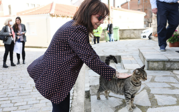 Κ. Σακελλαροπούλου: «Ο τρόπος που φερόμαστε στα ζώα αναδεικνύει τον πολιτισμό μας»