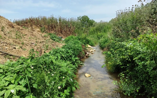 Θεσσαλονίκη: Δικογραφία για 59χρονο που πετούσε τόνους αποβλήτων στον Θερμαϊκό (φωτ.)