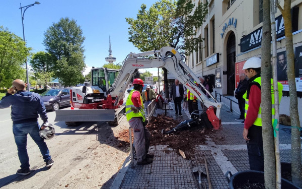 Θεσσαλονίκη: Αντικαθίστανται 163 άρρωστα δέντρα στην Τσιμισκή (βίντεο, φωτ.)