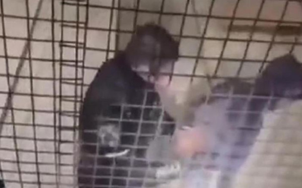 Αθήνα: Ιδιοκτήτης έβλεπε ζωντανά την διάρρηξη στην αποθήκη του - Τα... ακροβατικά της ΔΙΑΣ για την σύλληψη (βίντεο)