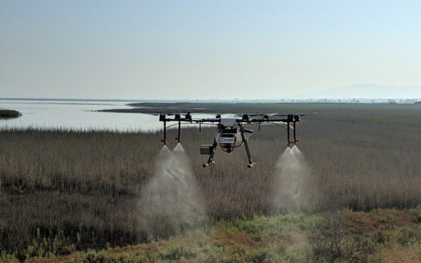 Ξεκίνησαν οι εναέριοι αεροψεκασμοί προνυμφοκτονίας στην Κεντρική Μακεδονία