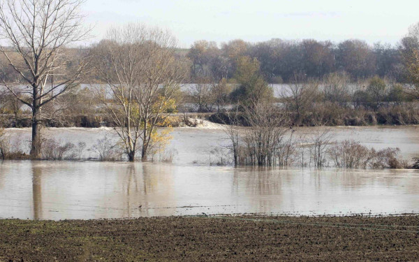 Ορεστιάδα: Διάσωση 17 μη νόμιμων μεταναστών από νησίδα του ποταμού Έβρου - Δείτε βίντεο