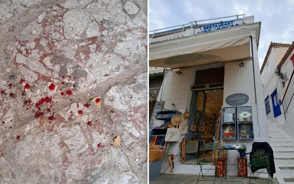 Κακοποίηση γάτας στην Ύδρα: Αντιμέτωπος με πρόστιμο €15.000 ο 55χρονος