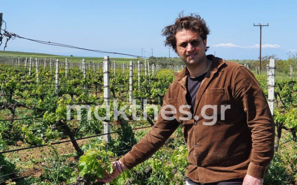 Kτήμα Ιατρίδη: Το οινοποιείο που φέρνει διακρίσεις στο Λάκκωμα Χαλκιδικής