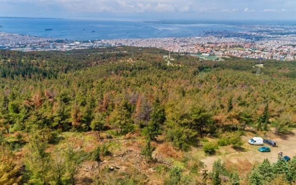 Ξεκινάει η αντιπυρική περίοδος: Οι δήμοι στήνουν αντιπυρικό «δίχτυ» στο Σέιχ Σου