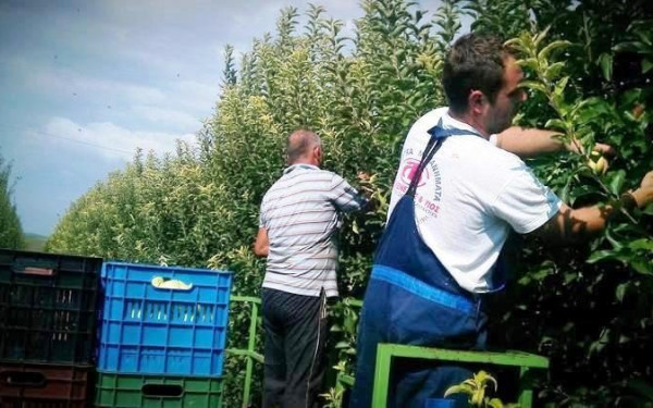 ΣΒΕ: Ψηφιακή πλατφόρμα για προσέλκυση εργαζομένων από τρίτες χώρες