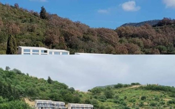 Άγνωστοι αποψιλώνουν το δάσος στα Σύβοτα και το Δασαρχείο αγοράζει... αγρό (φωτ.)