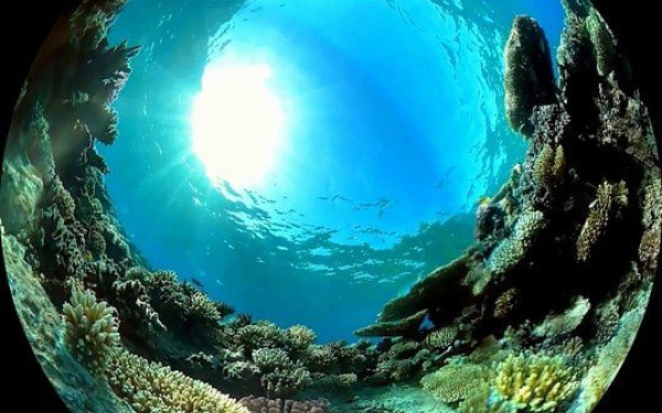 Γίνε κι εσύ πρεσβευτής του Ευρωπαϊκού Συμφώνου για το Κλίμα